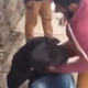 Five teens were arrested after a videotaped beating of a 17-year-old student went viral.
NBC 10 Philadelphia Screenshot